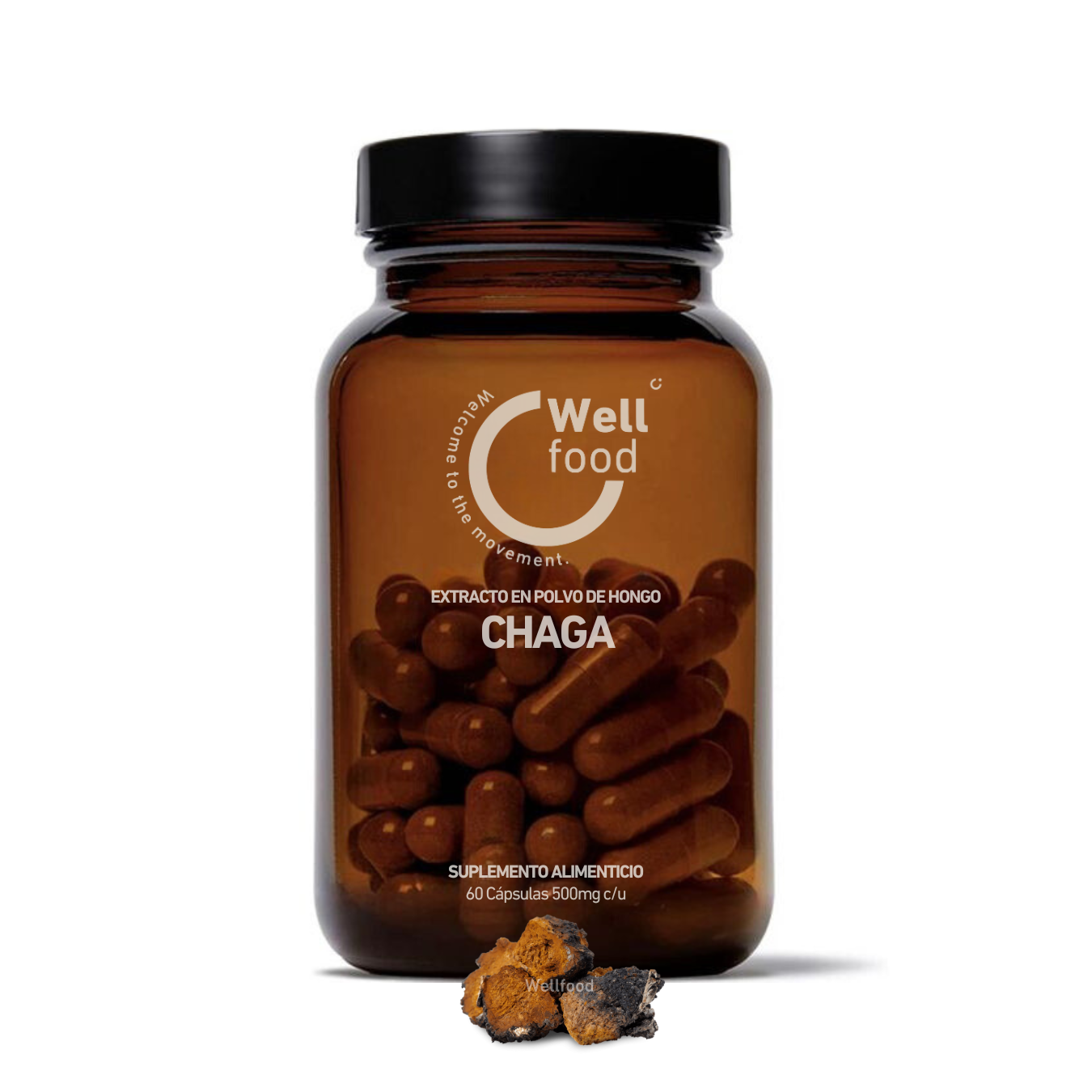 CHAGA
