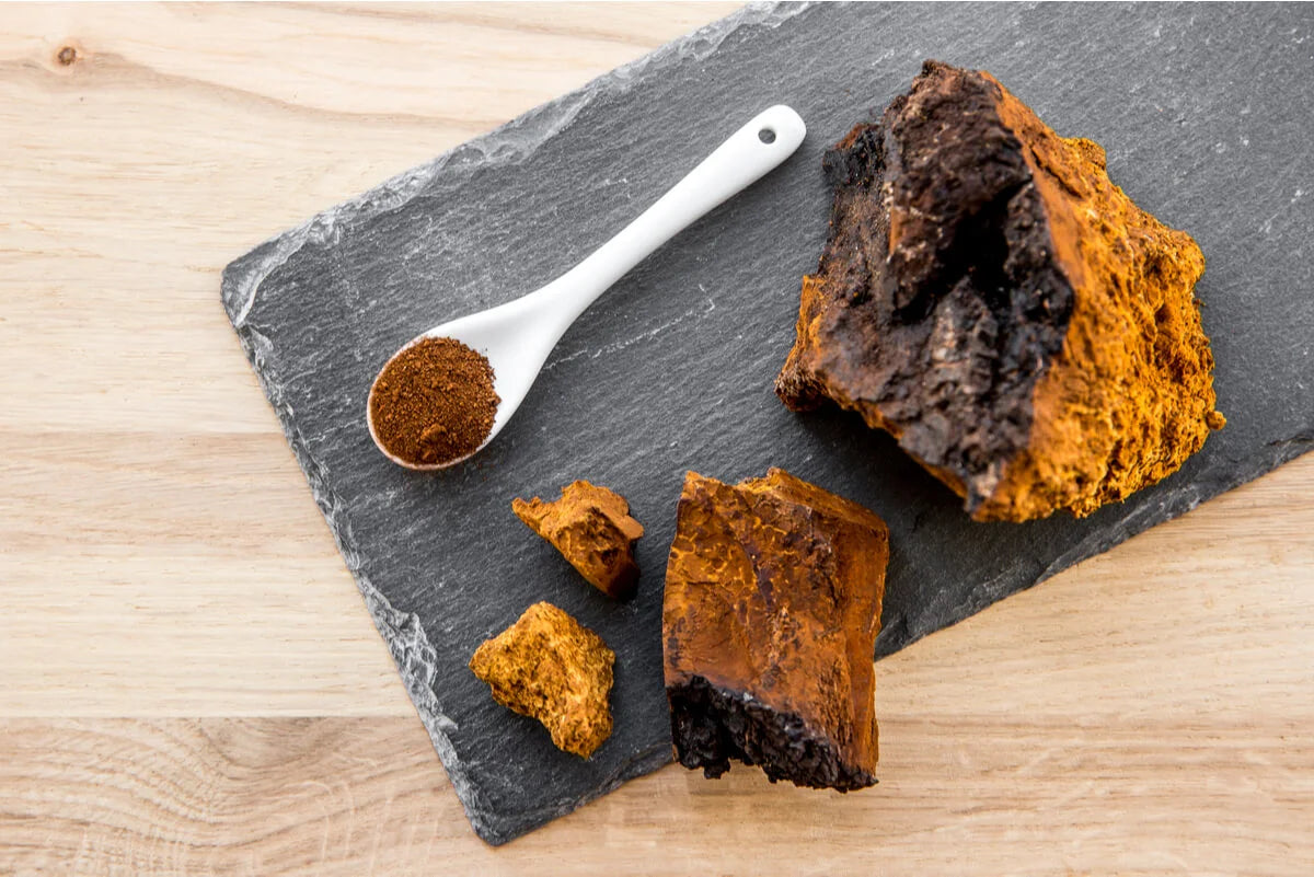 CHAGA