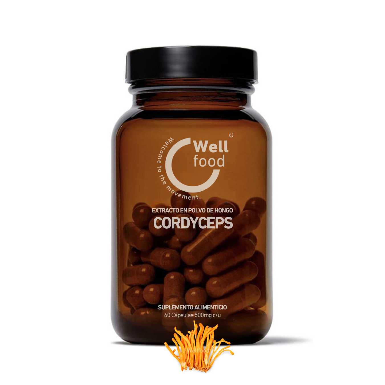 CORDYCEPS