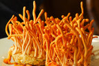 CORDYCEPS_ORGANICO2