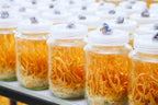 CORDYCEPS_ORGANICO3