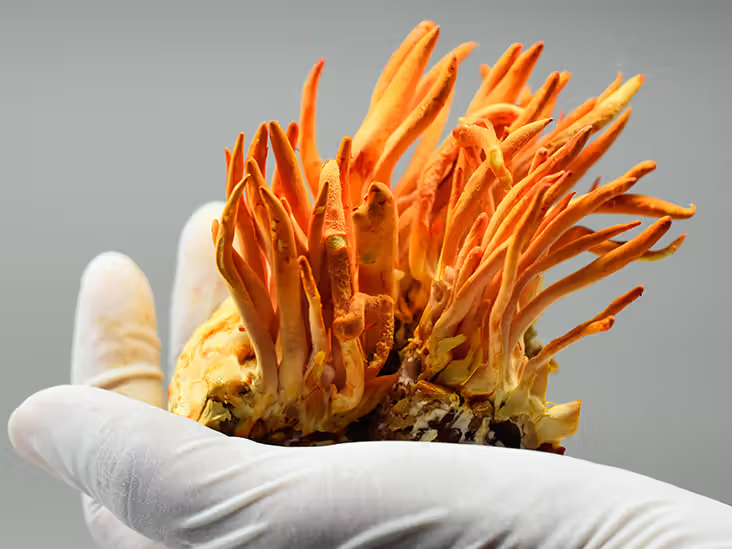 CORDYCEPS