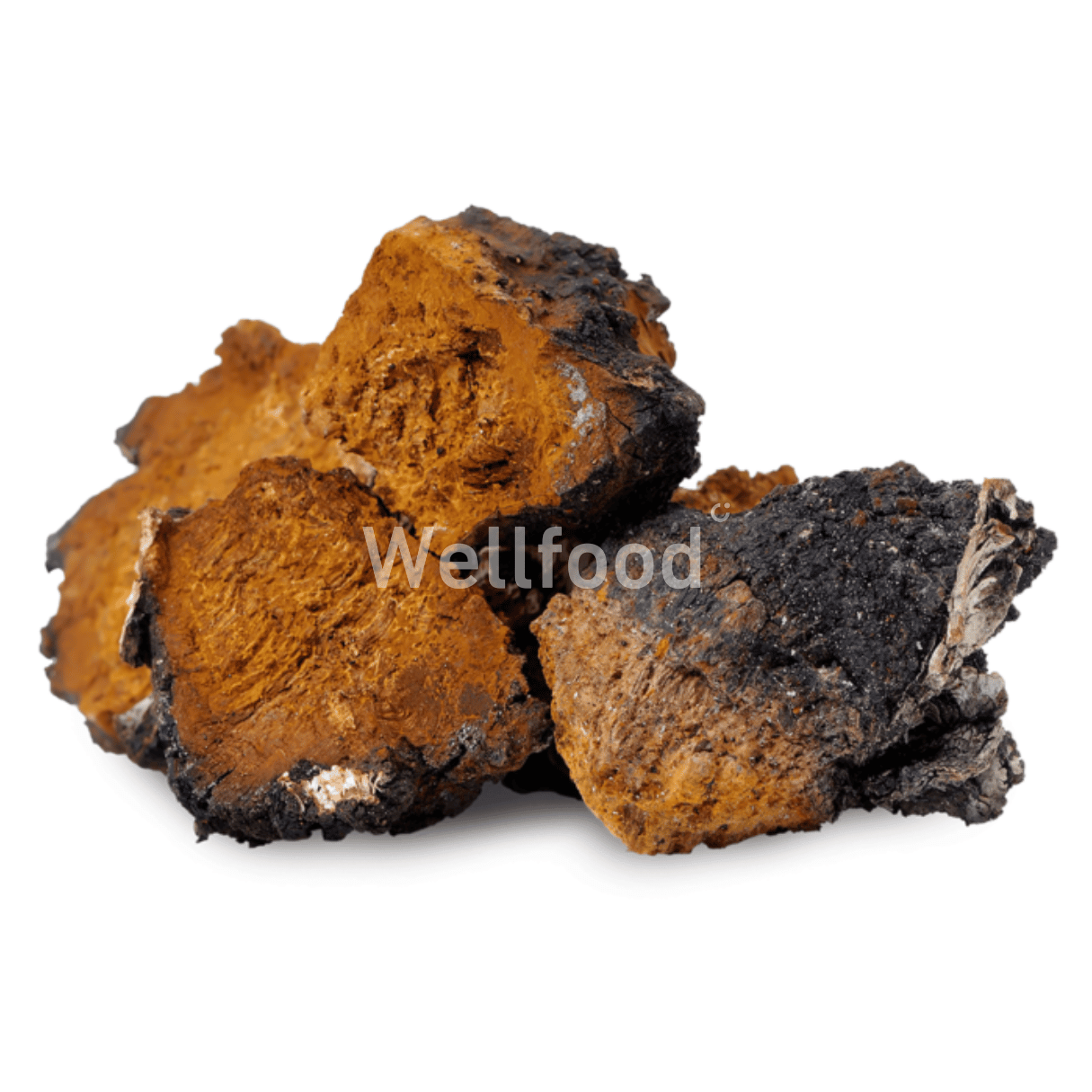 CHAGA