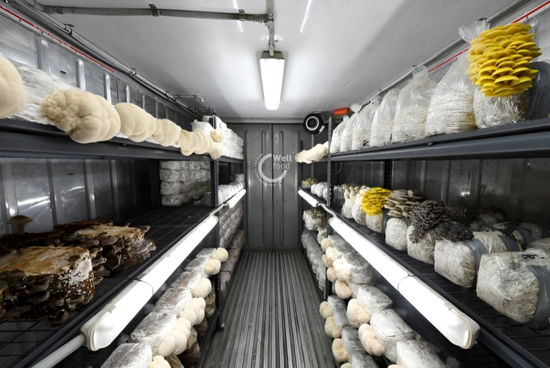 multicolumns-item-image-4